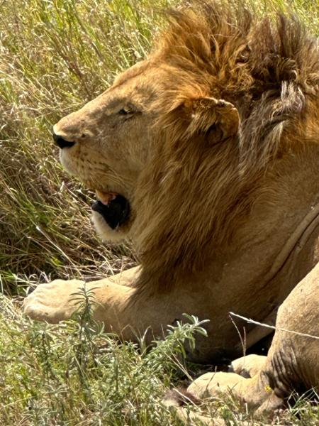 Magical Africa trip!