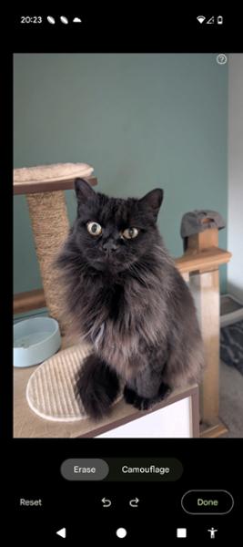 Scottish Salmon Dry Cat Food