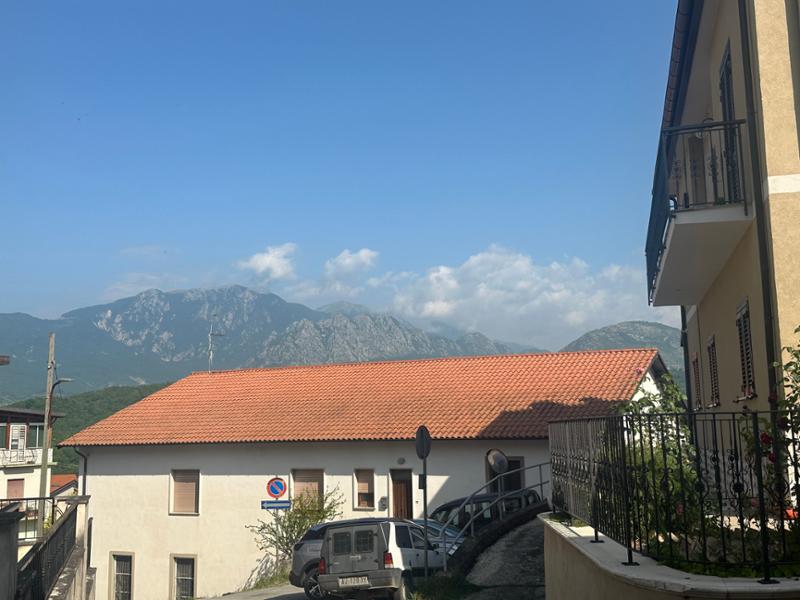 Bellissimo