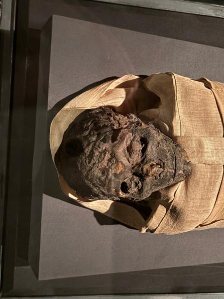 Wonders of Ancient Egypt