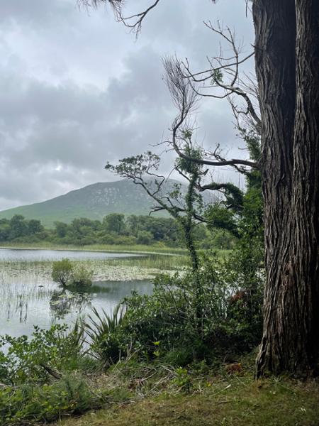 Amazing Ireland is Amazing and unforgettable