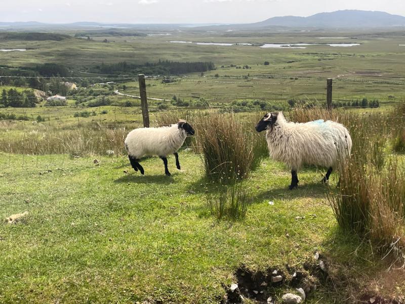 Amazing Ireland is Amazing and unforgettable
