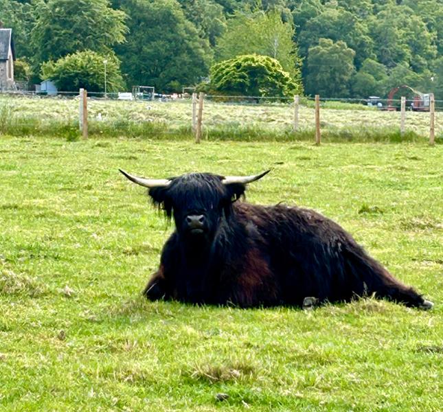 Fantastic Scotland Tour