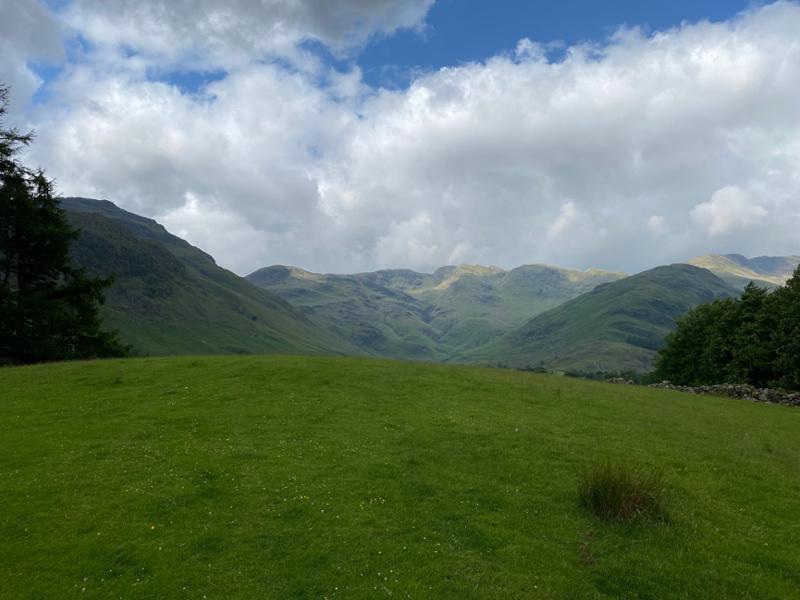 Our Dog-Friendly Southern Lakes Short Break Tour