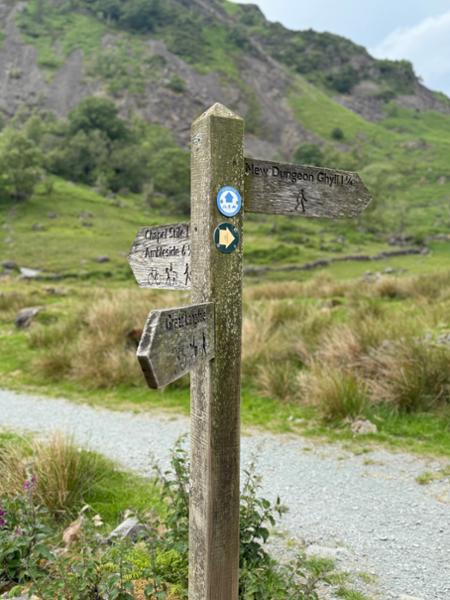 Our Dog-Friendly Southern Lakes Short Break Tour