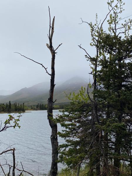 Majestic Alaska