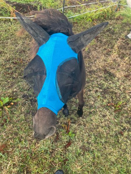 Shetland-Miniature-Section A Pull On Fly Mask With Ears