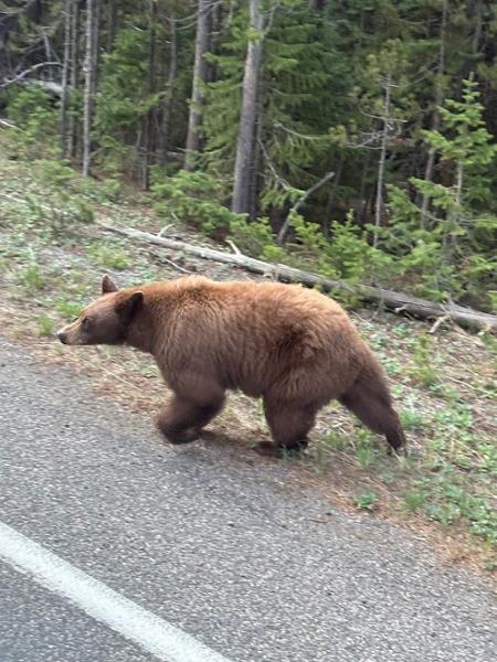 Trip #2 to National Parks