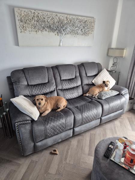 Fantastic company and furniture