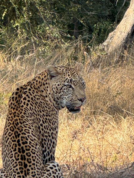 5589-2 for 1 South Africa & Victoria Falls