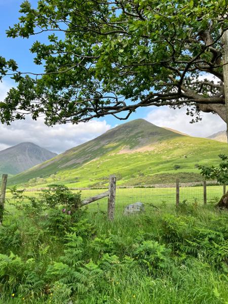 Wasdale Campsite