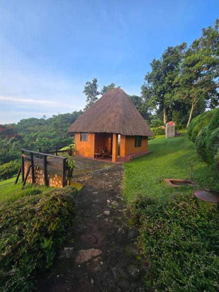 4513-Uganda Wildlife Discovery