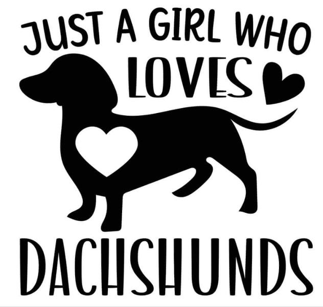 Small Dog Dry Food | 7.5kg | Chicken & Superfoods | Grain Free & Natural Ingredients | Pooch & Mutt | Vet Recommended