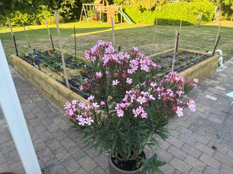 Tevreden met product
