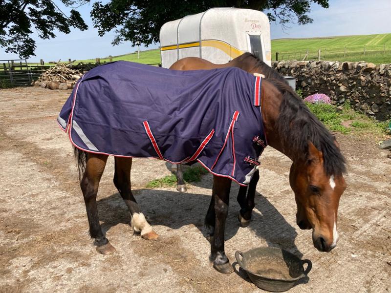 50g V2 Lightweight 1200D Standard Turnout Rug