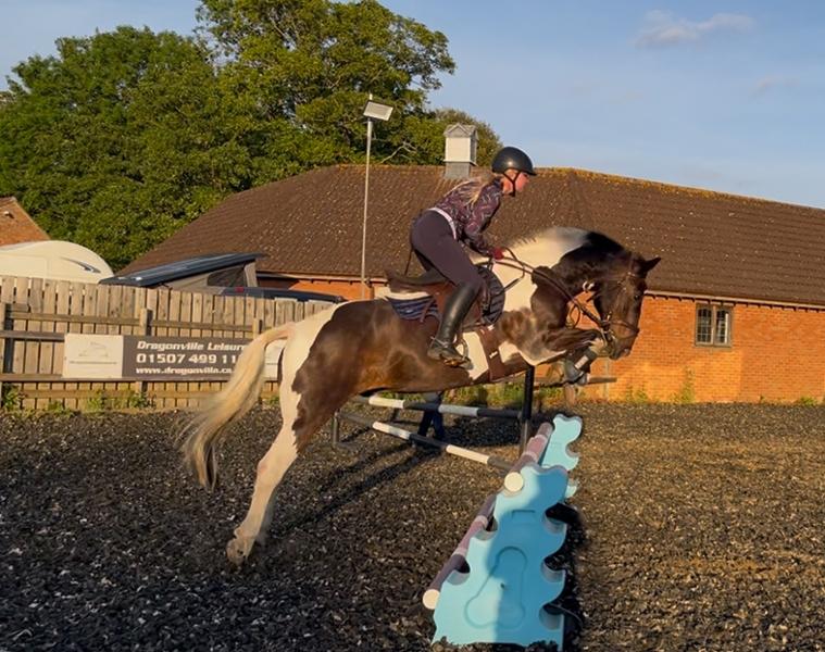 Blue chip super senior concentrate has been a game changer for my horse!