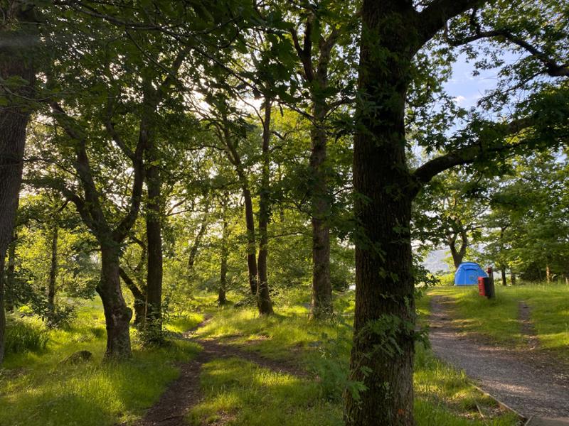 Low Wray Campsite