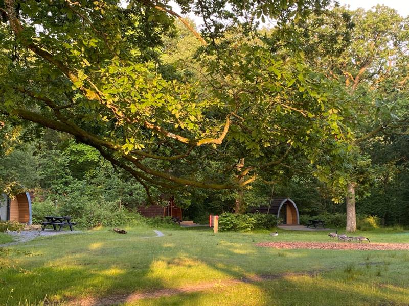 Low Wray Campsite