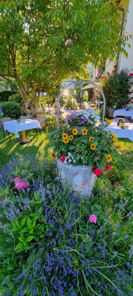 Boutique Hotel Martha