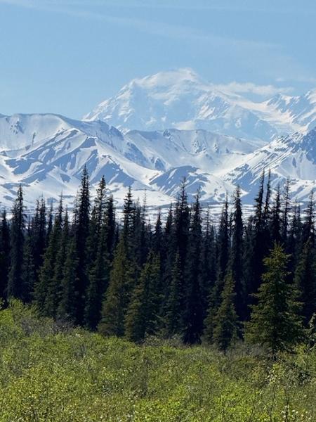 Majestic Alaska