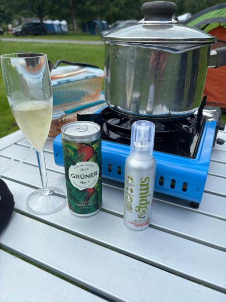 Great Langdale Campsite