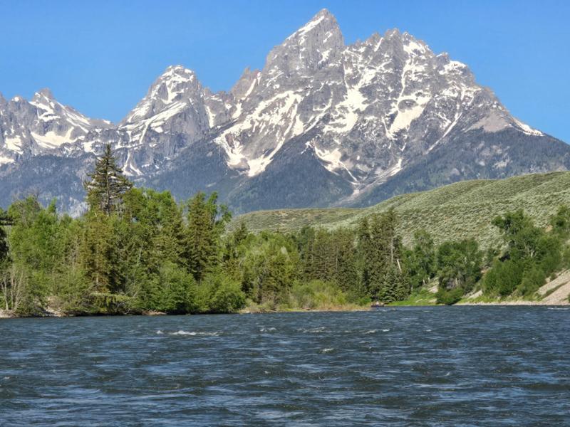 Yellowstone & Grand Teton Adventure