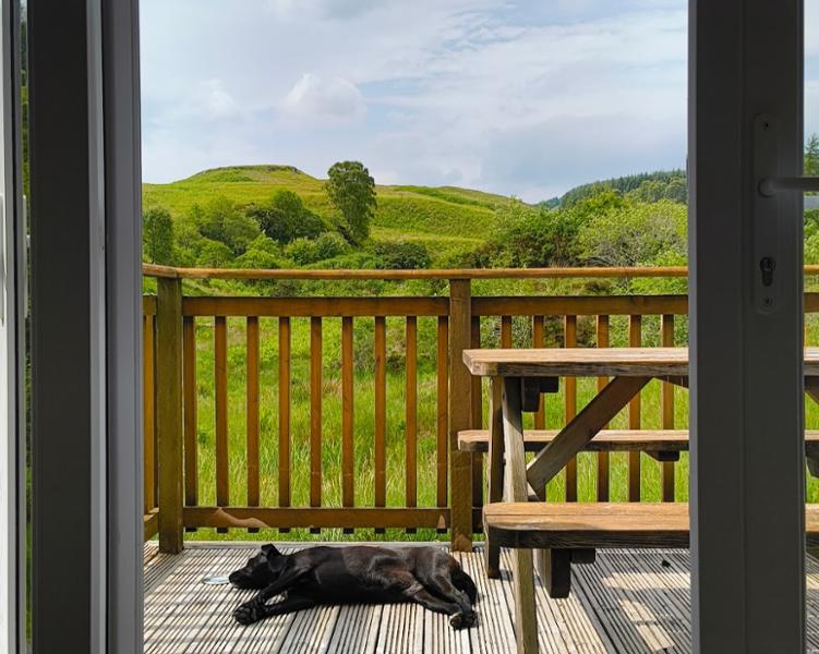 Peaceful, dog-friendly Oban holiday booking.