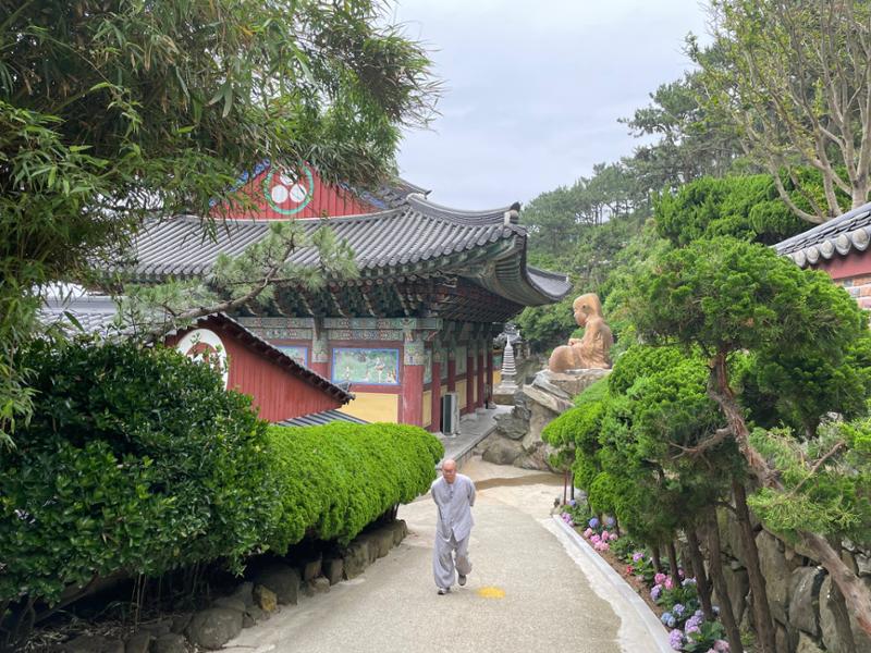 Tour in South Korea with a small international group