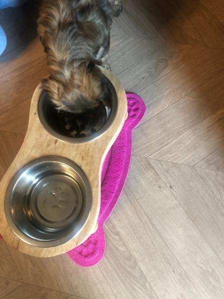 ORIJEN Puppy