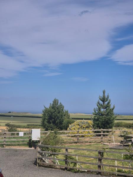 Springhill Farm
