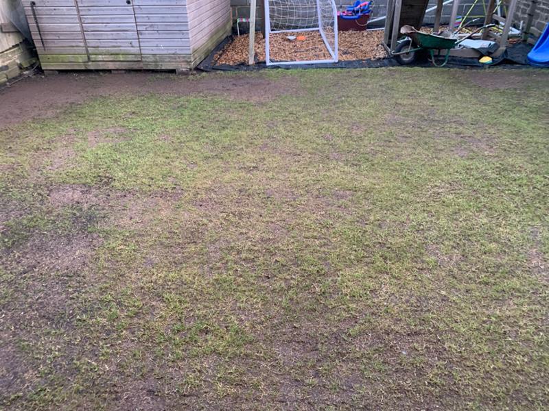 Always use the grass people for my gardening work.