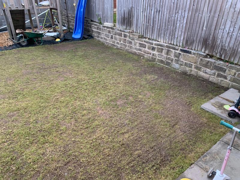 Always use the grass people for my gardening work.