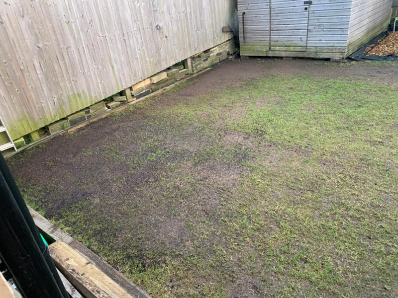 Always use the grass people for my gardening work.