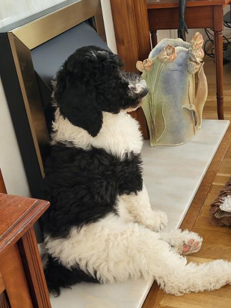 Fresh Pressed Puppy Turkey