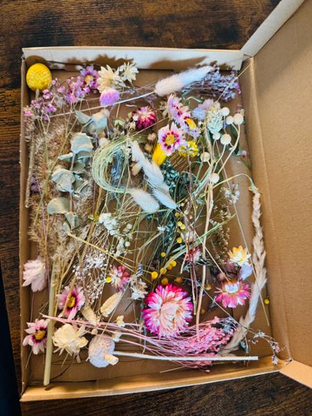Lovely dried flowers