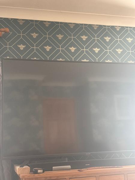 Honeycomb Bee Wallpaper Teal World of Wallpaper 50400