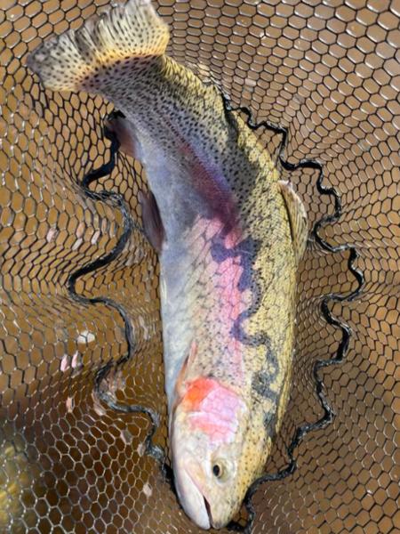 Fulling Mill Classic FM Orange Nugget Lure