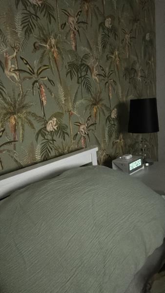 Monkey Oasis Wallpaper Sage Green Holden 13701