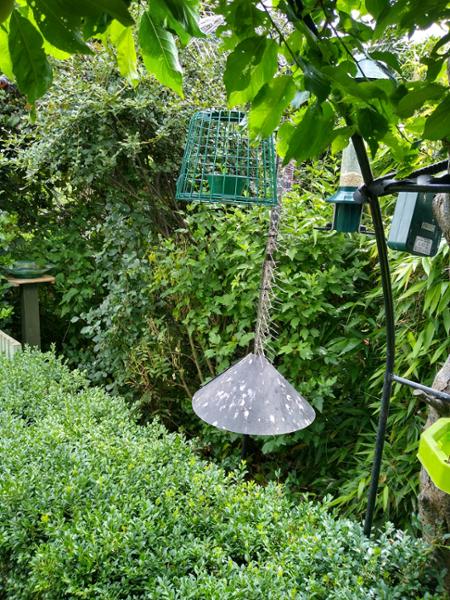 Suet Pellet & Mealworm Guardian Bird Feeder