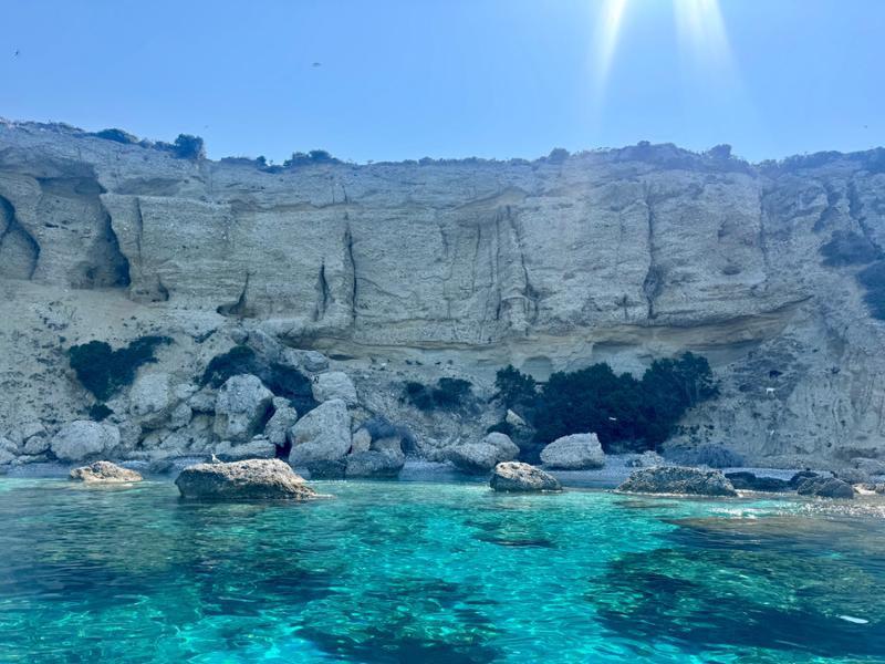 Perfect swims, brilliant guides, fabulous location