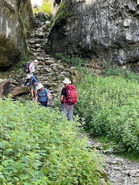 Your holiday: Southern Yorkshire Dales  - Gentle Guided Walking
