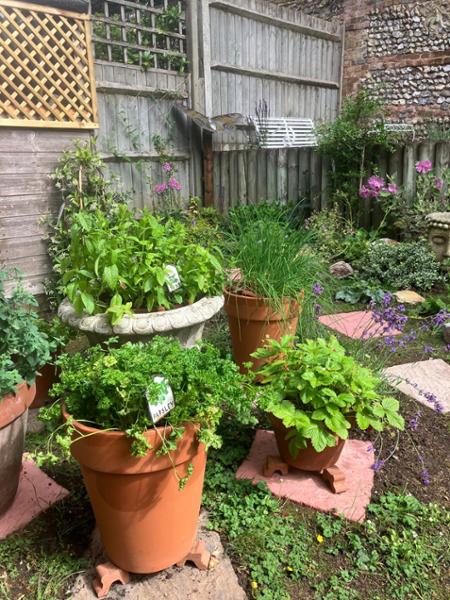 Set of Ten Herb Garden Markers