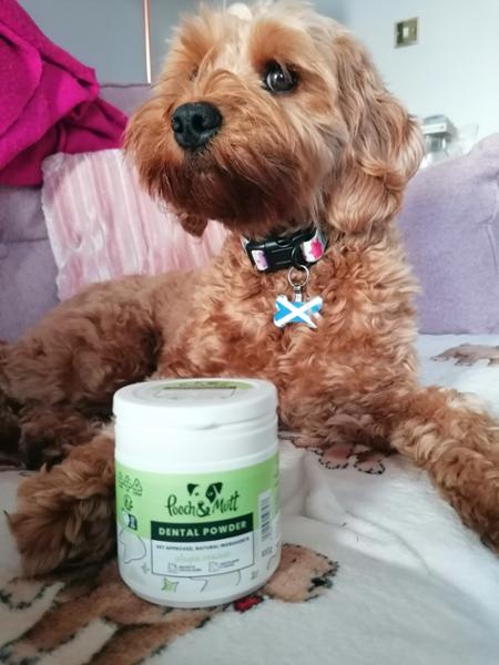 Dental Powder For Dogs