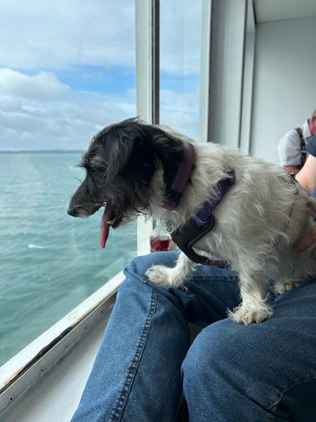 Portsmouth - Fishbourne route