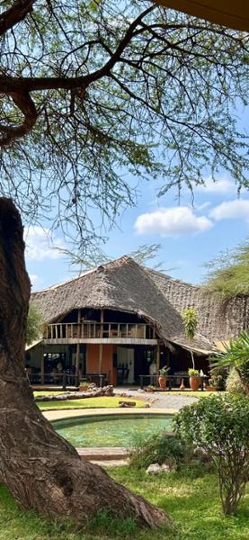 Kenya Wildlife Safari