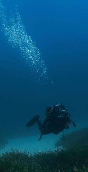 Scuba Diving in Gozo