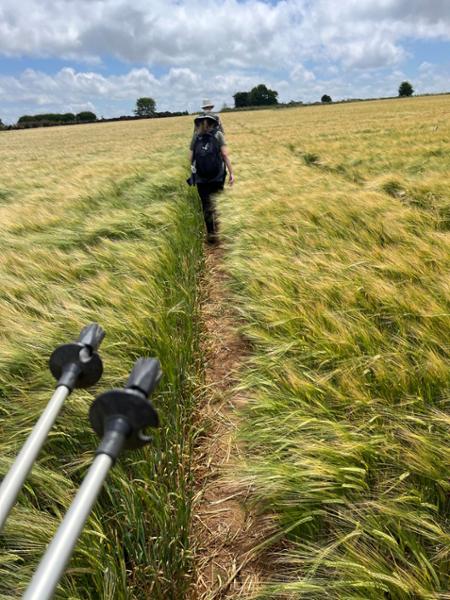 Your holiday: Cotswolds - Cotswold Way
