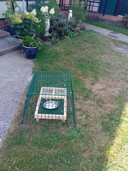 Ground Feeder Guardian
