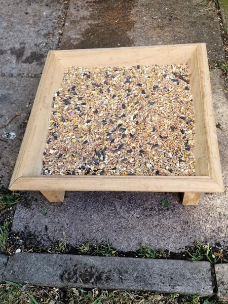 National Trust Bird Feeder.
