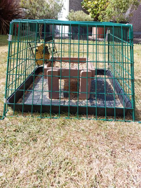 Ground Feeder Guardian